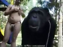 blonde and chimpanzee animal sex